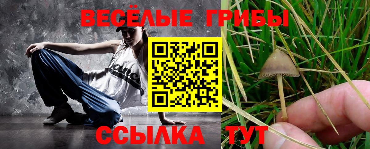 Галлюциногенные грибы ЛСД  Вход с VPN  как найти   Тимашёвск 